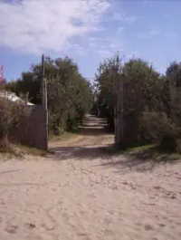 camping am Meer in toskana in vada direkter zugang zum strand