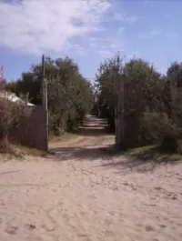 camping on the seaside in tuscany in vada direct access to beach