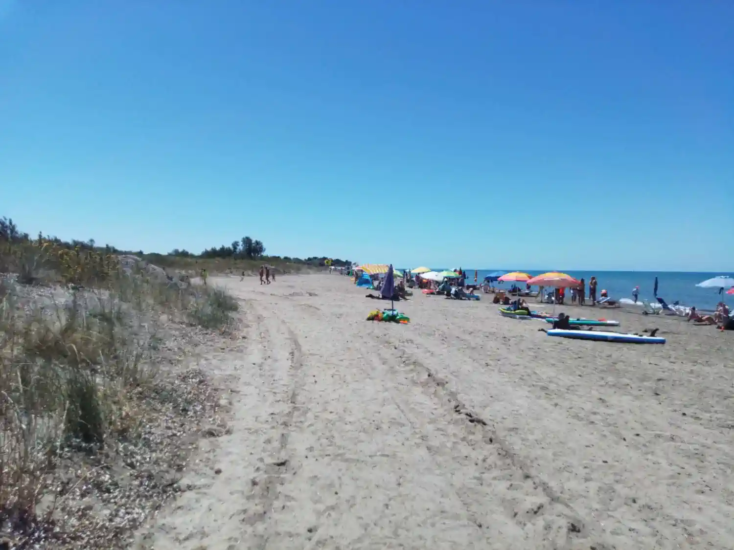 images/spiaggia/Campeggio-sul-mare-RadaEtrusca-dettaglio-spiaggia.webp#joomlaImage://local-images/spiaggia/Campeggio-sul-mare-RadaEtrusca-dettaglio-spiaggia.webp?width=1500&height=1125